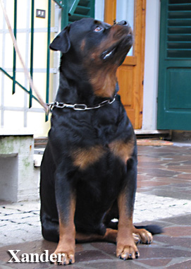 fiona